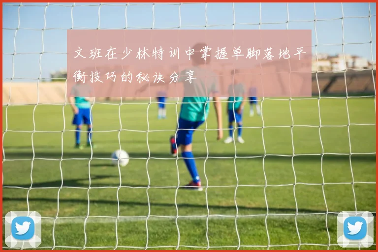 文班在少林特训中掌握单脚落地平衡技巧的秘诀分享